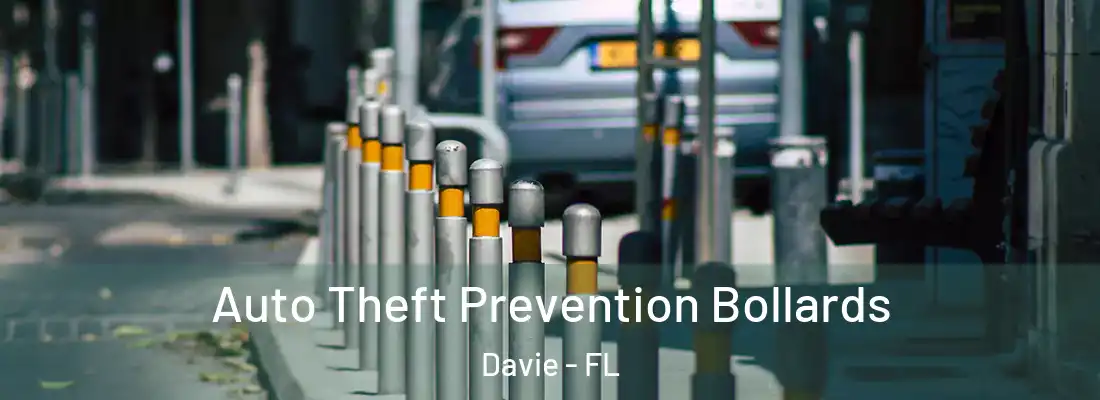 Auto Theft Prevention Bollards Davie - FL