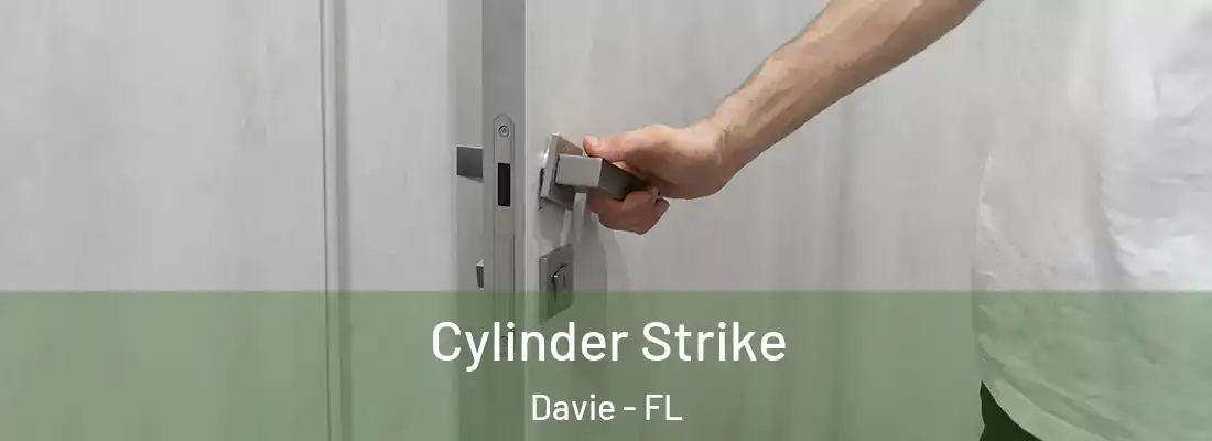  Cylinder Strike Davie - FL