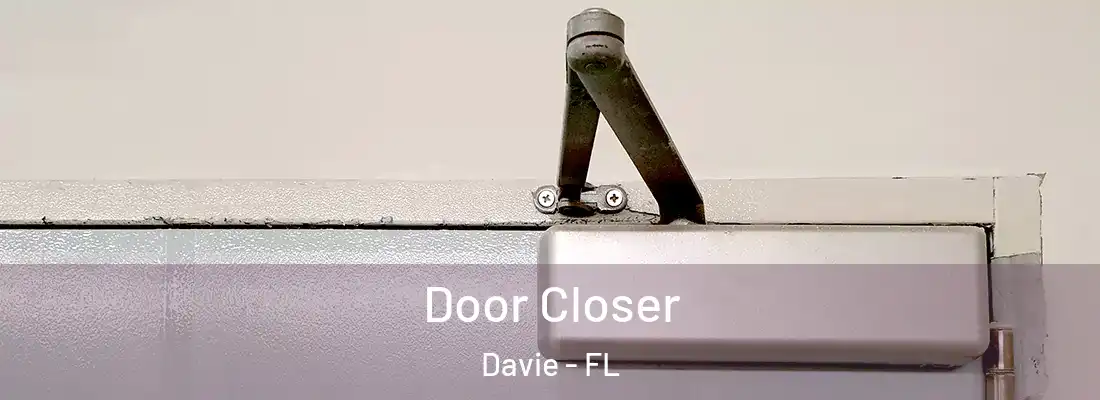  Door Closer Davie - FL