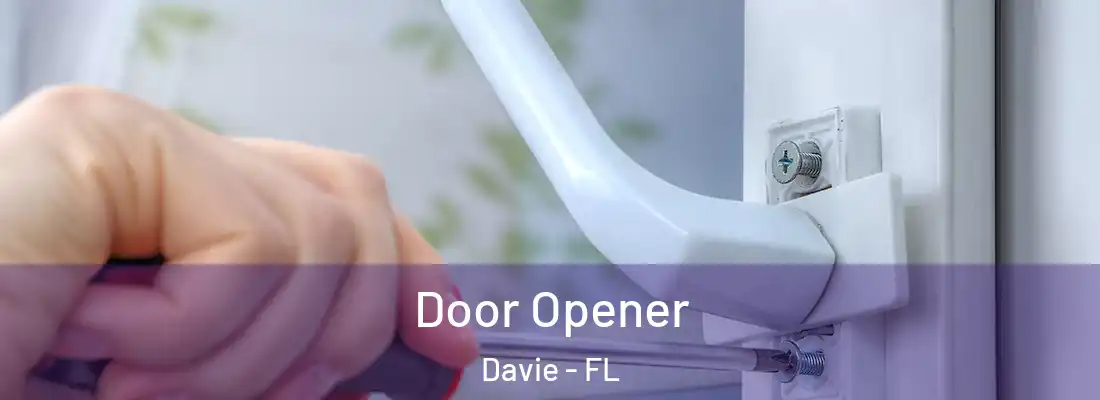  Door Opener Davie - FL