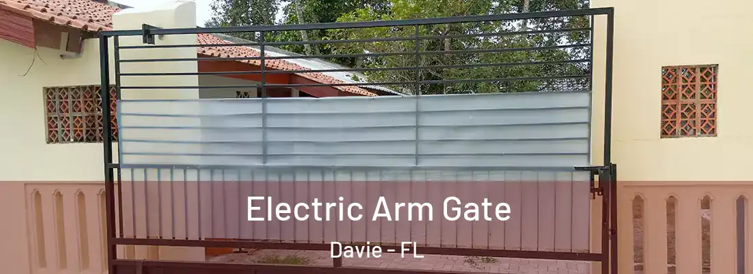 Electric Arm Gate Davie - FL