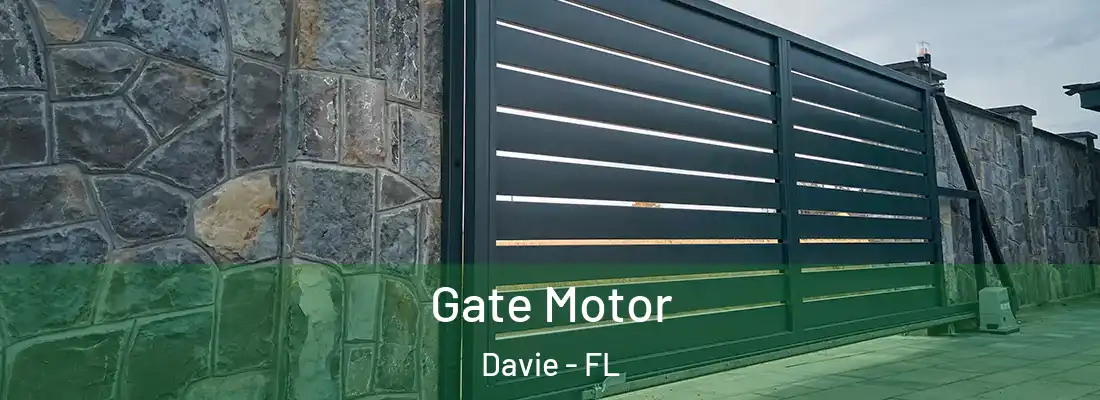 Gate Motor Davie - FL