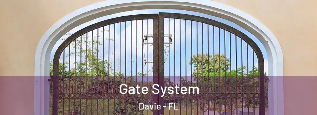 Gate System Davie - FL