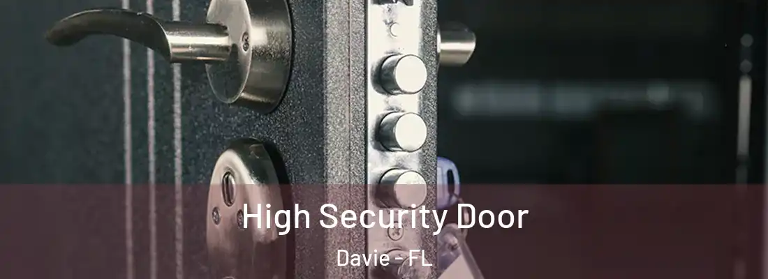  High Security Door Davie - FL