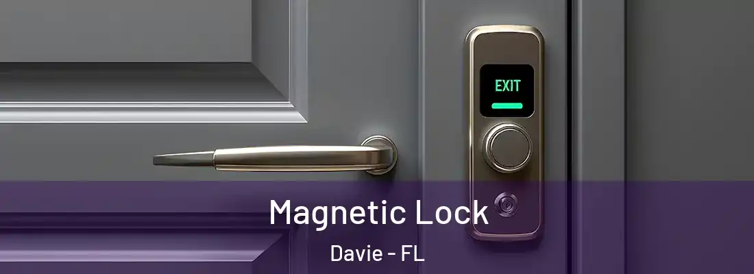 Magnetic Lock Davie - FL
