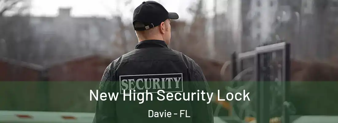  New High Security Lock Davie - FL